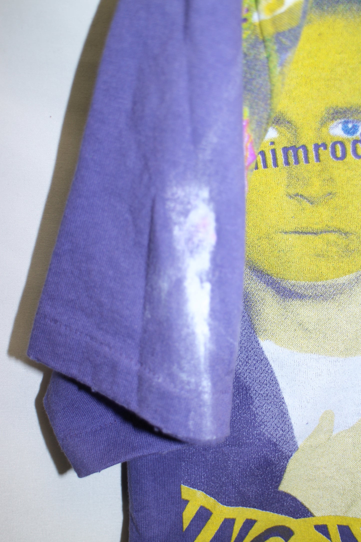 Green Day Faded/Distressed purple Tee (L)